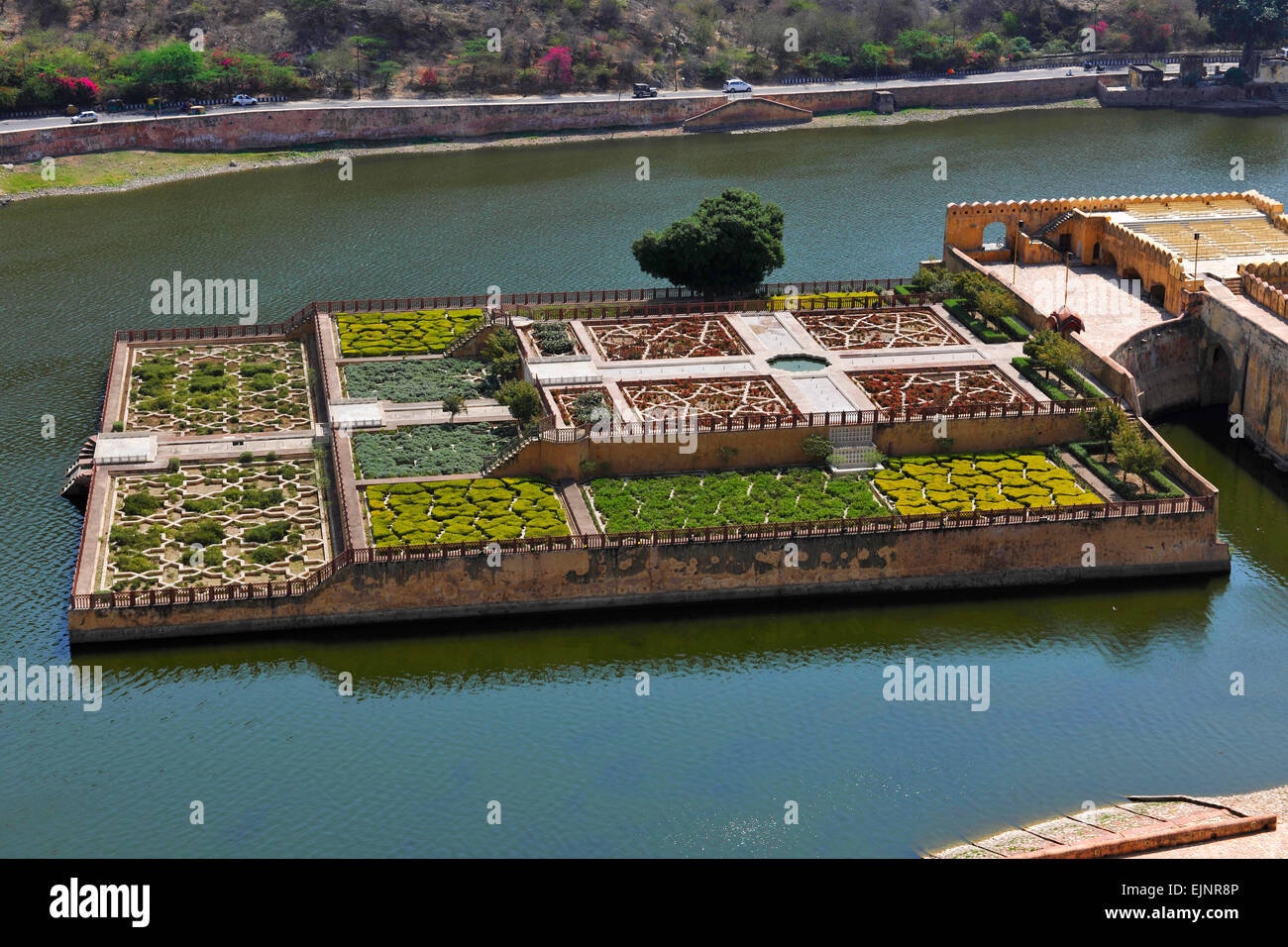Inselgarten auf dem Maota-See bei Amber Amer Fort Palace Jaipur Rajasthan Stockfoto