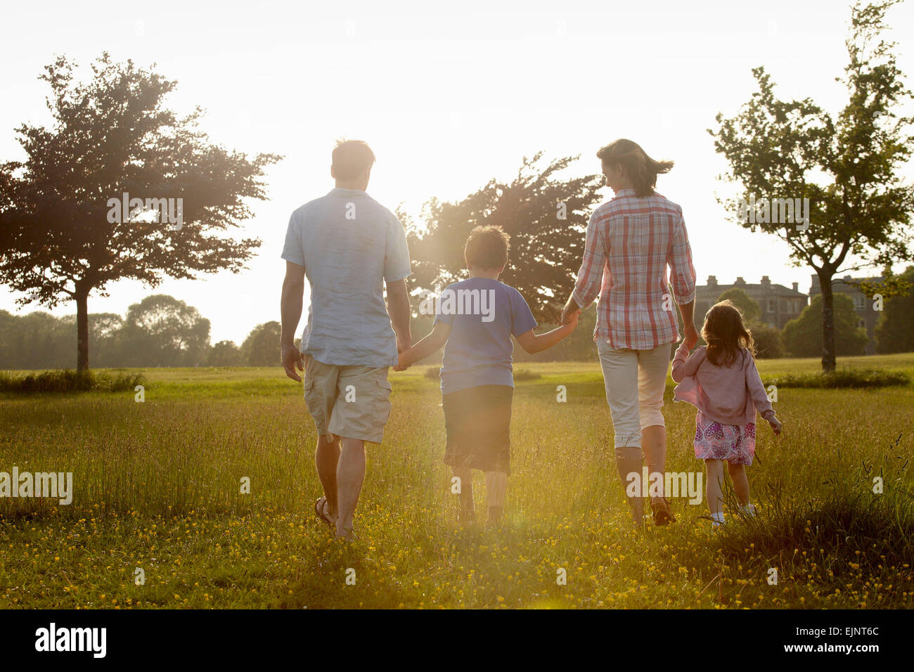 Eine Familie, zwei Eltern und zwei Kinder hand in hand gehen über den Rasen im Freien im Sommer. Stockfoto