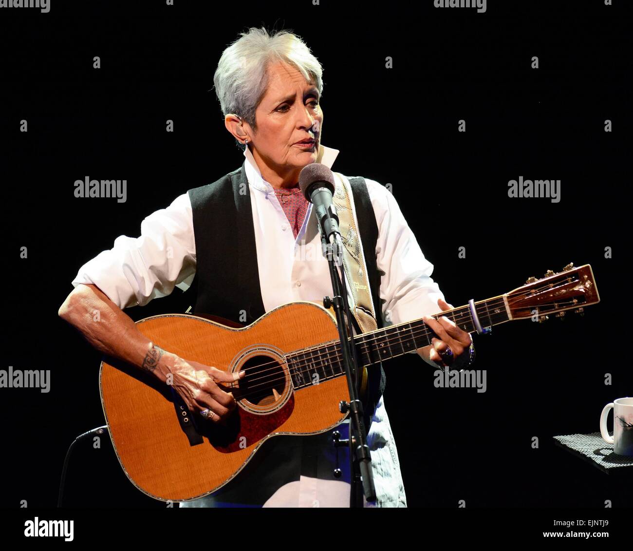 Amerikanische Folk-Sängerin Joan Baez führt bei Vicar Street, Dublin, Irland - 24.09.14. Mitwirkende: Joan Baez wo: Dublin, Irland bei: 25 Sep 2014 Stockfoto