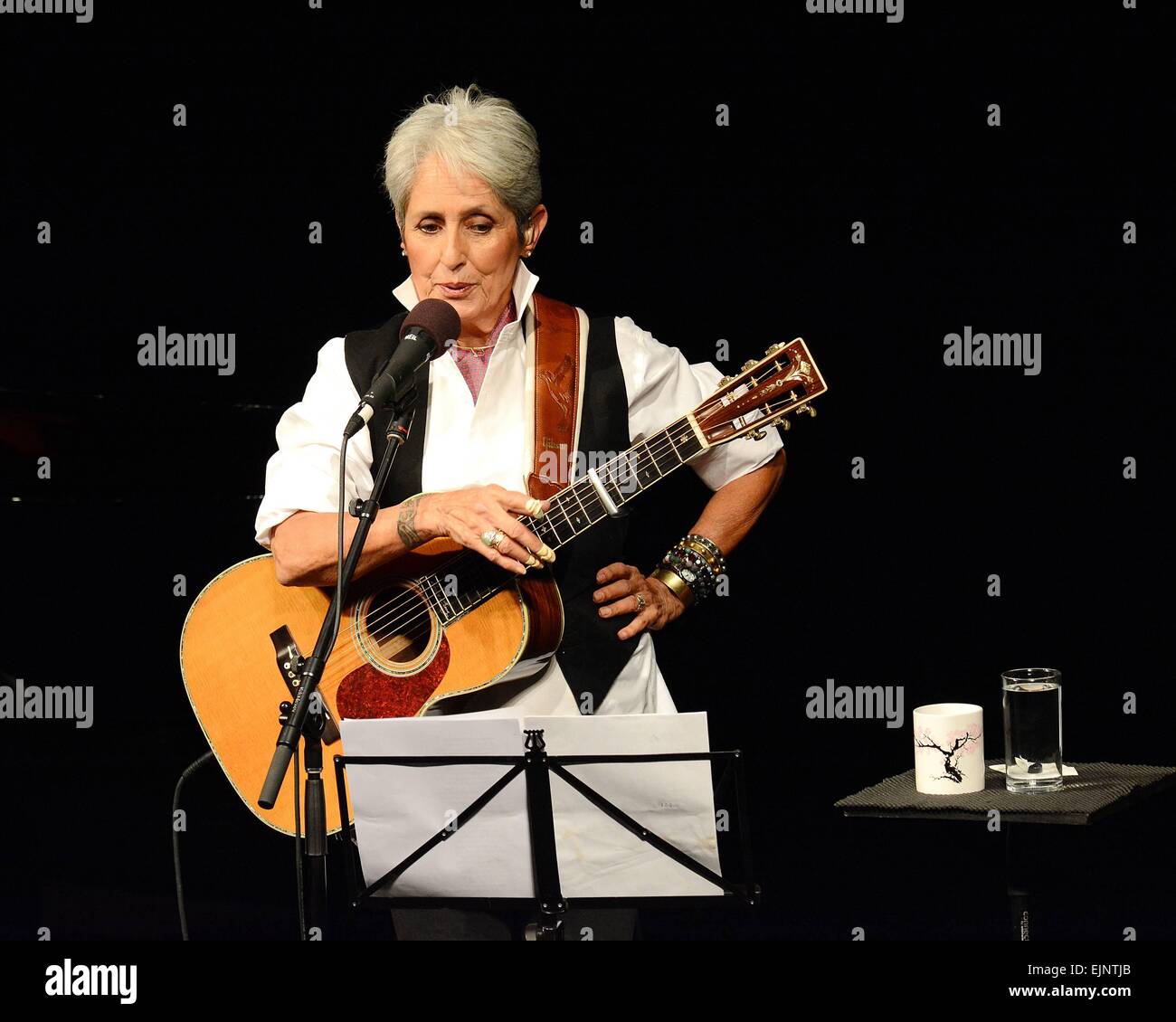 Amerikanische Folk-Sängerin Joan Baez führt bei Vicar Street, Dublin, Irland - 24.09.14. Mitwirkende: Joan Baez wo: Dublin, Irland bei: 25 Sep 2014 Stockfoto