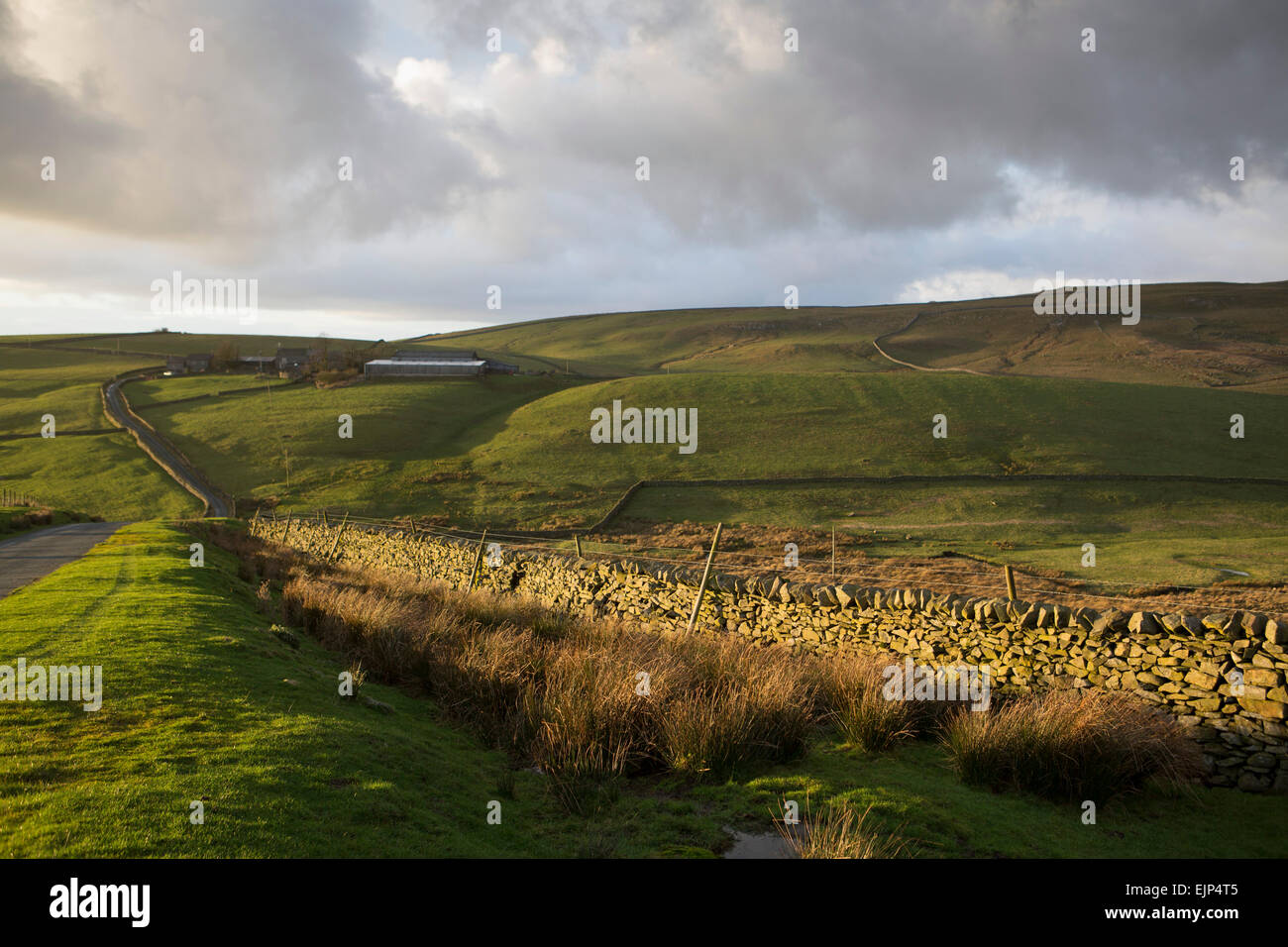 Landschaft der Yorkshire Dales National Park in der Nähe von Pen-y-Gent zwischen Horton in Ribblesdale und Malham Stockfoto