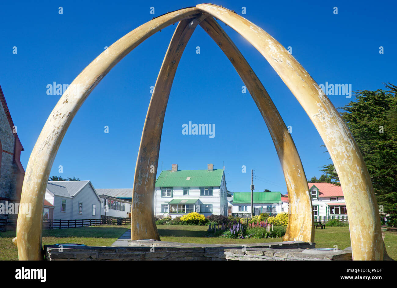 Wal-Knochen Bogen Port Stanley Falkland-Inseln Stockfoto