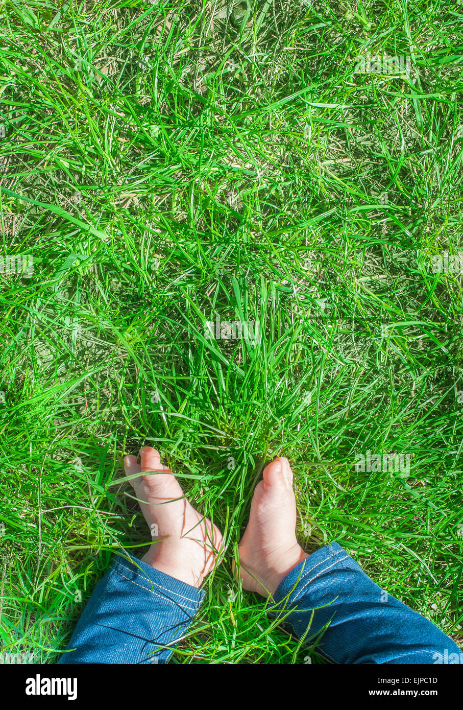 Baby Füße barfuß auf dem grünen Rasen, Sonnenlicht, Beine mit Jeans, Ansicht von oben, vertikale Stockfoto