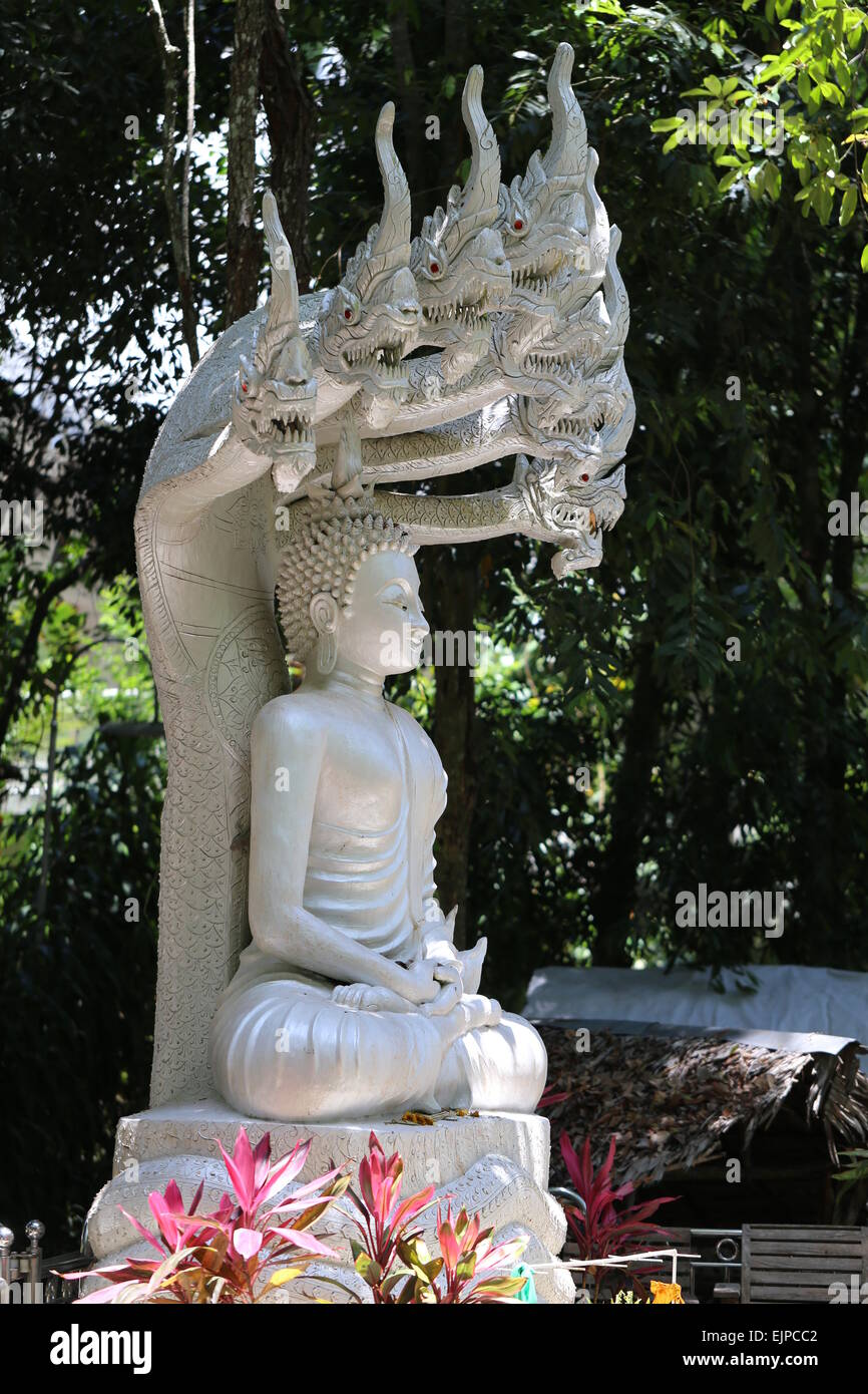 Buddhistische Tempel im Dschungel in Thailand Stockfoto