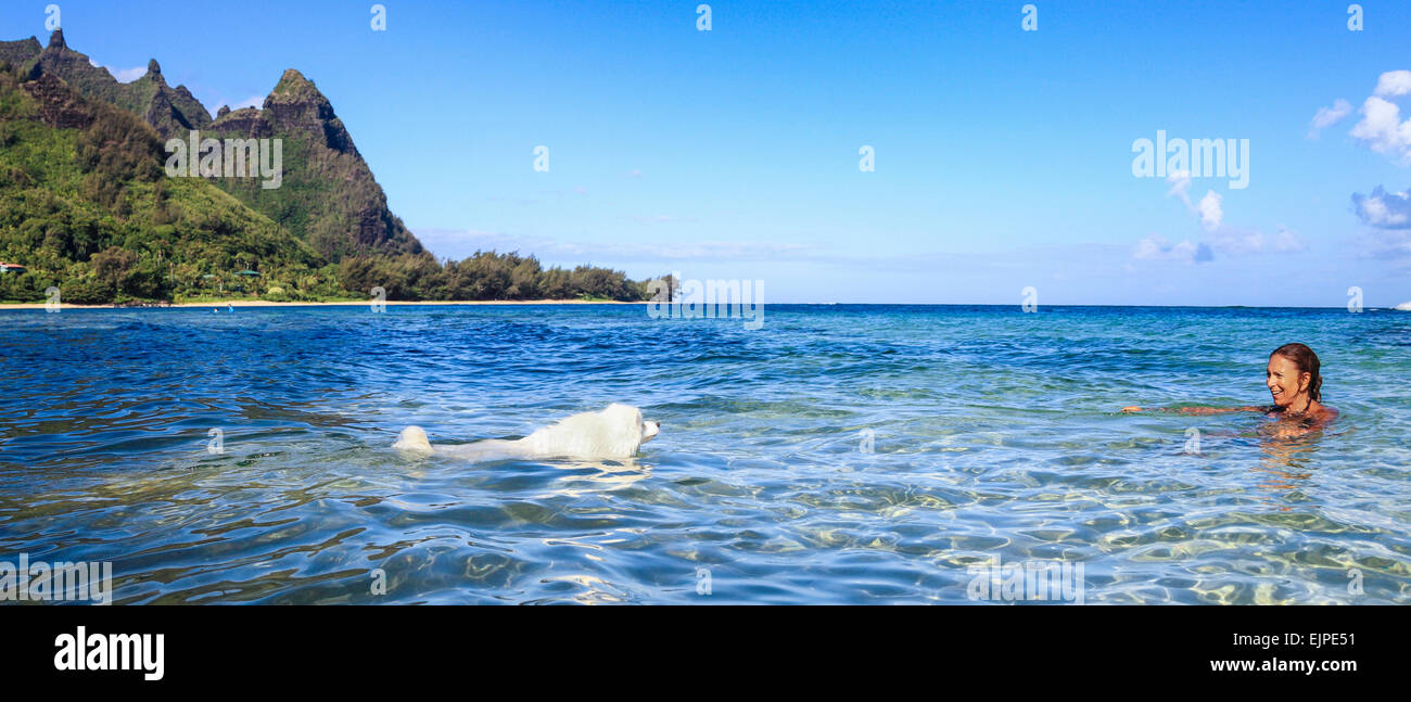 Hund konzentriert sich auf Beitritt Eigentümer schwimmen im Tunnel Beach auf Kauai Stockfoto