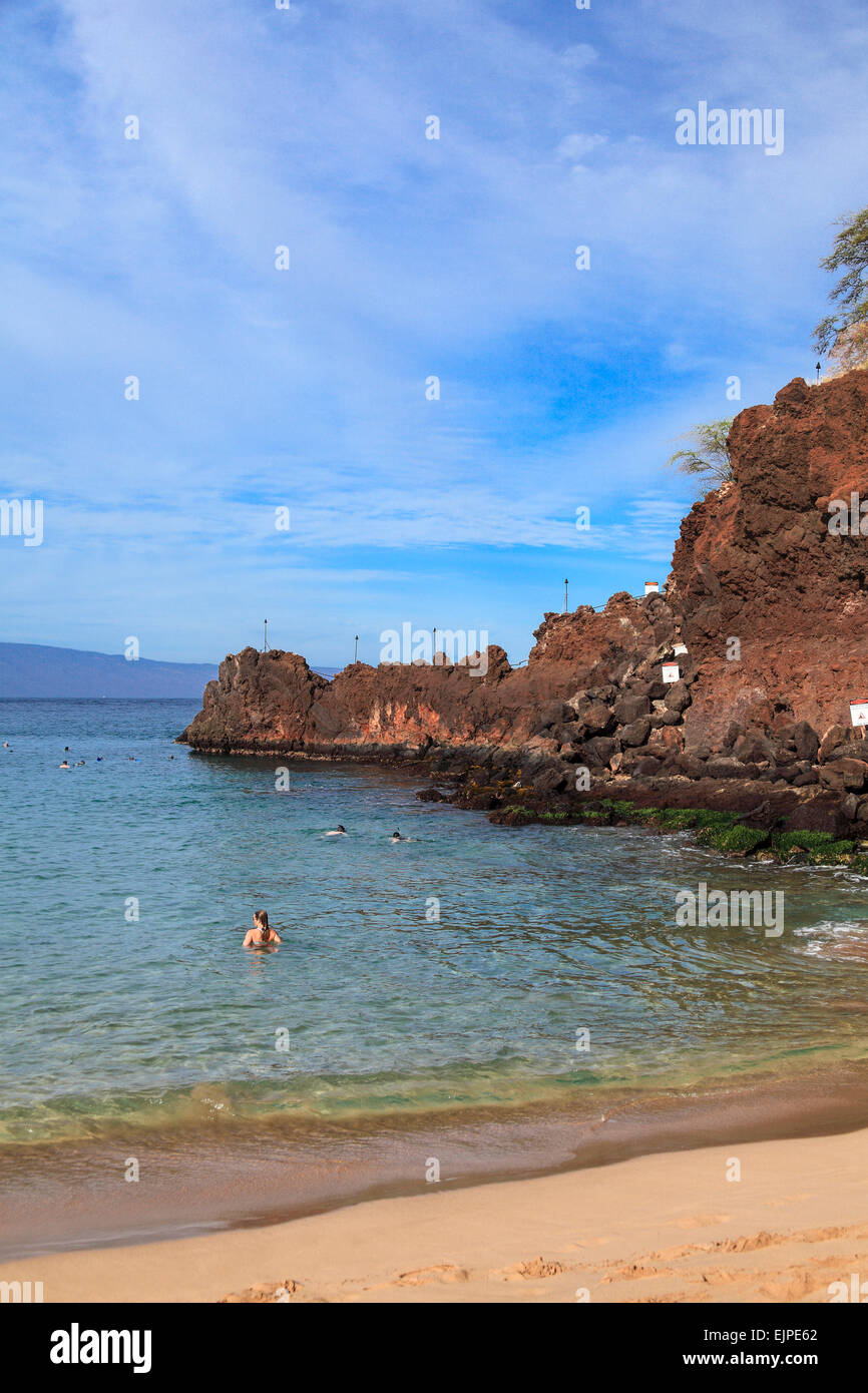 Schnorchler im schwarzen Rock am Kaanapali Beach auf Maui Stockfoto