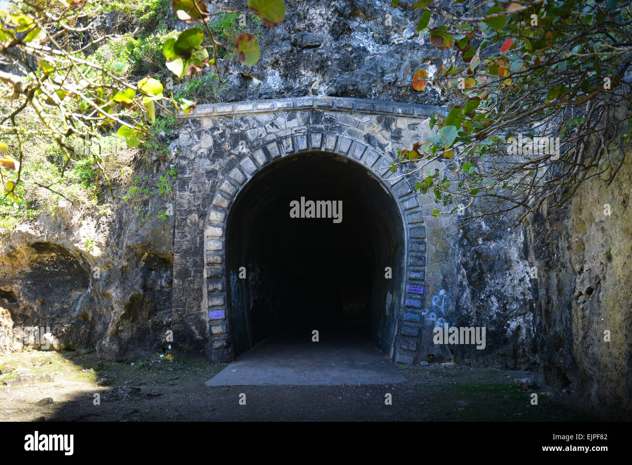 Eingang der Tunel de Guajataca. Isabela, Puerto Rico. US-Territorium. Karibik-Insel. Stockfoto