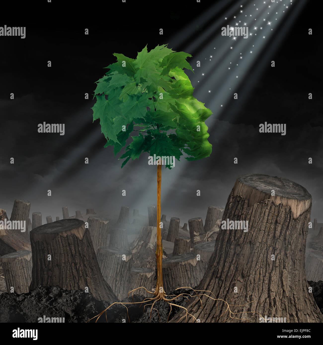 Erneuerung und Hoffnung leben und Recovery-Konzept als grünes Blatt Baum in Form eines menschlichen Kopfes wächst aus der Landschaft der gehackten Wald als überleben Symbol für Wiedergeburt und schafft eine neue Sie nach einer sucht oder Krise. Stockfoto