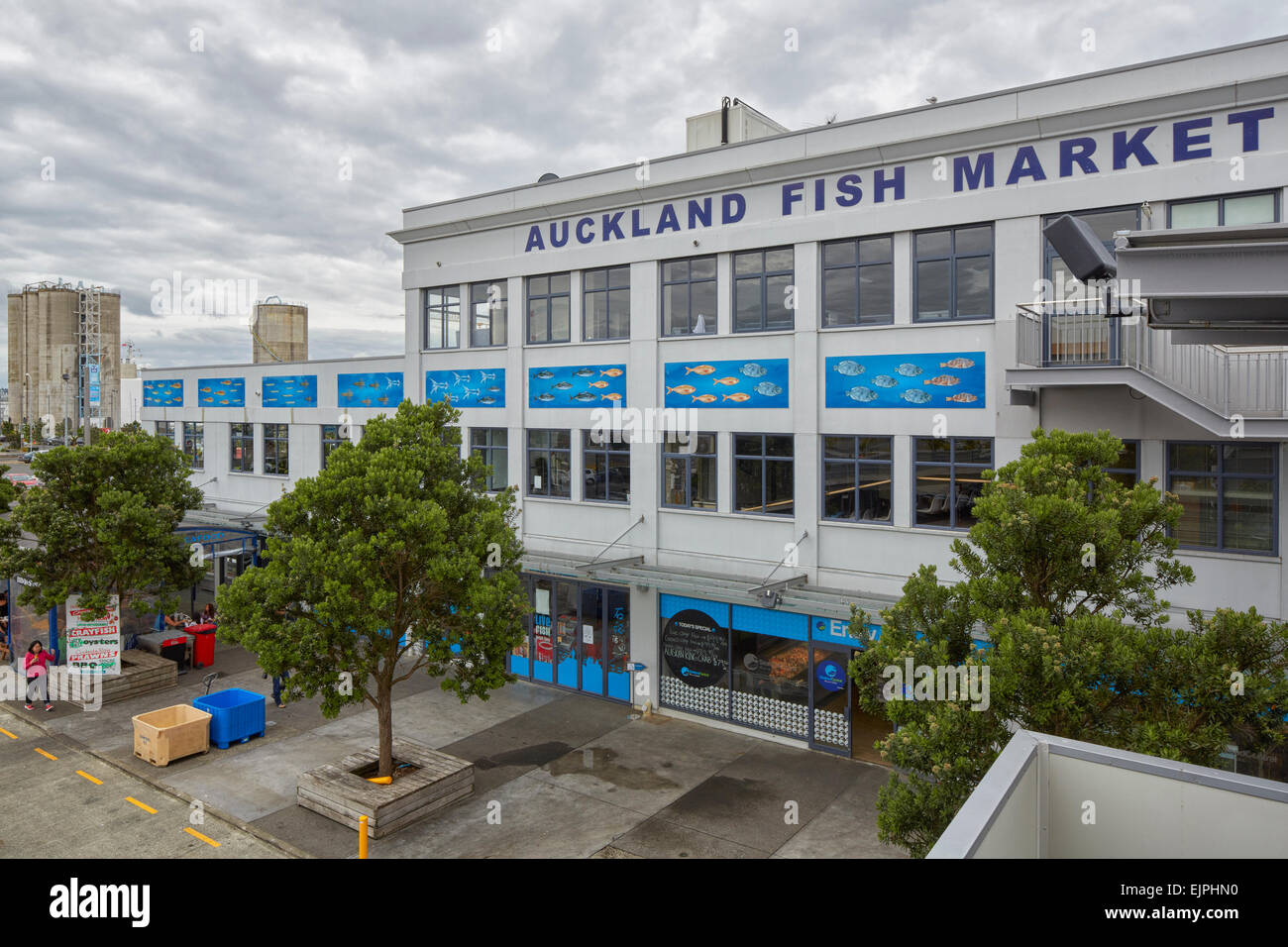 Auckland Fisch Markt, Auckland, Nordinsel, Neuseeland Stockfoto
