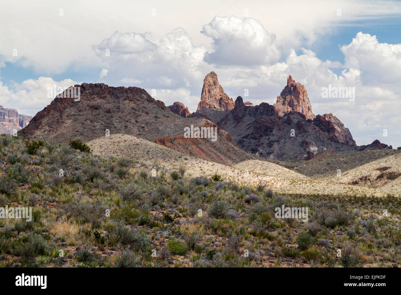 Das Maultier Ohren, Big Bend Nationalpark, Texas Stockfoto