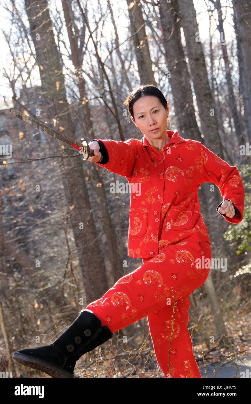 Kung fu Stockfoto