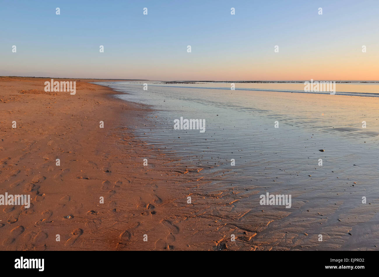 Sonnenuntergang auf nassen Sand bei Ebbe mit Fuß-sprint Stockfoto