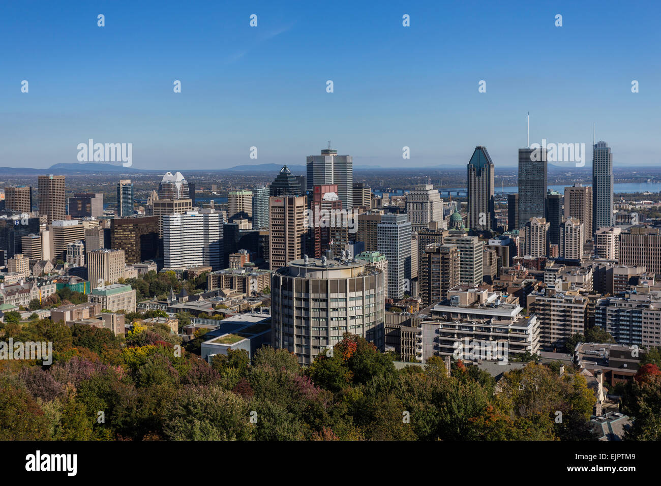 Skyline von Montreal aus Mont-Royal, Quebec, Kanada Stockfoto
