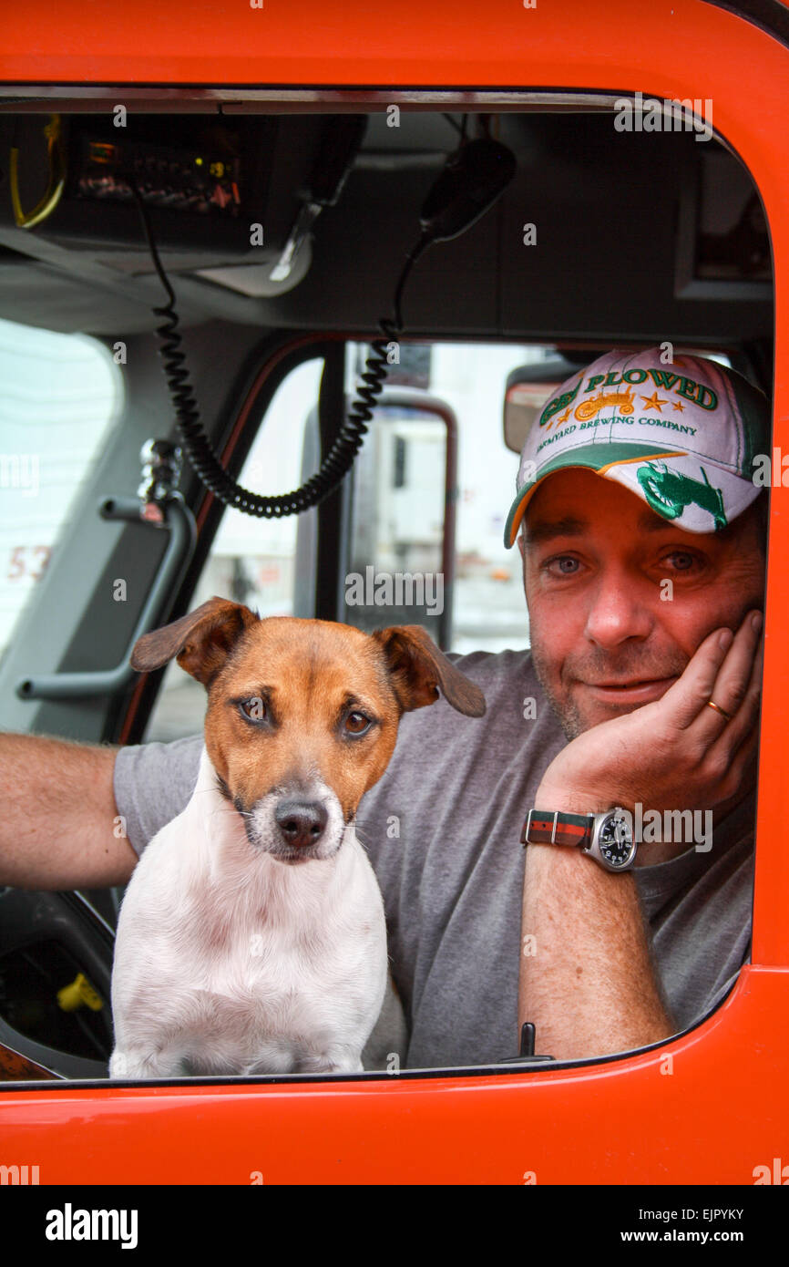 Der Fahrer sitzt in einem Sattelschlepper Freightliner Columbus in den USA mit seinem Haustier Hund Jack Russel Stockfoto