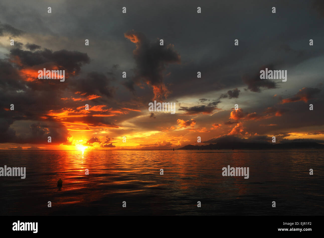 Blick auf Küste bei Sonnenuntergang, Blick auf Moorea, Tahiti, Gesellschaftsinseln, Französisch-Polynesien, November Stockfoto