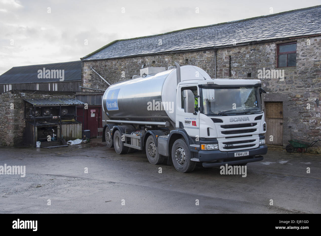 Milchviehhaltung, erste Milch Tanker sammeln von Milch vom Bauernhof, Kirche Brough, Kirkby Stephen, Cumbria, England, Dezember Stockfoto