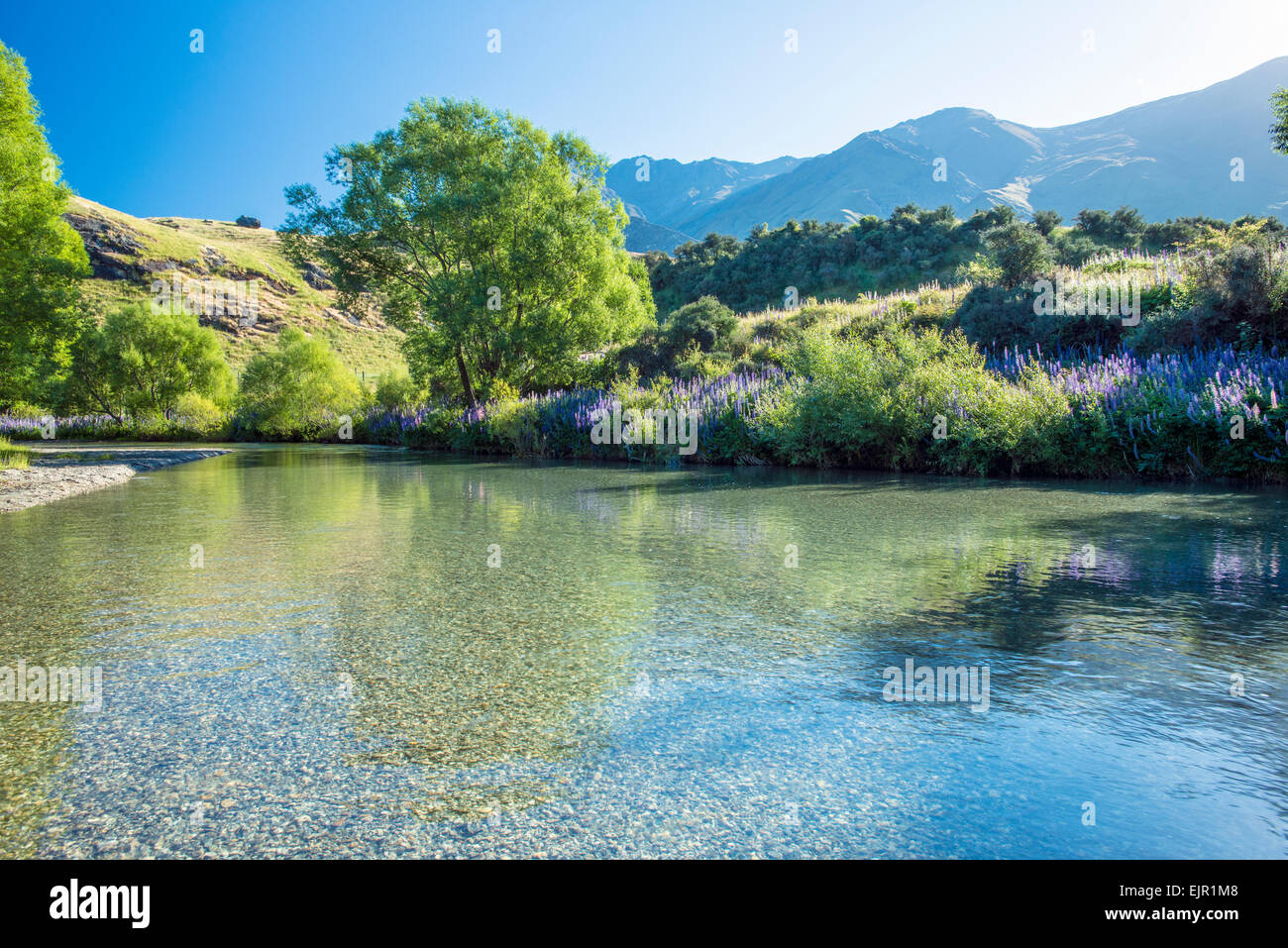 Der Motatapu-Fluss in Ortago, Südinsel, Neuseeland an einem klaren sonnigen Tag Stockfoto