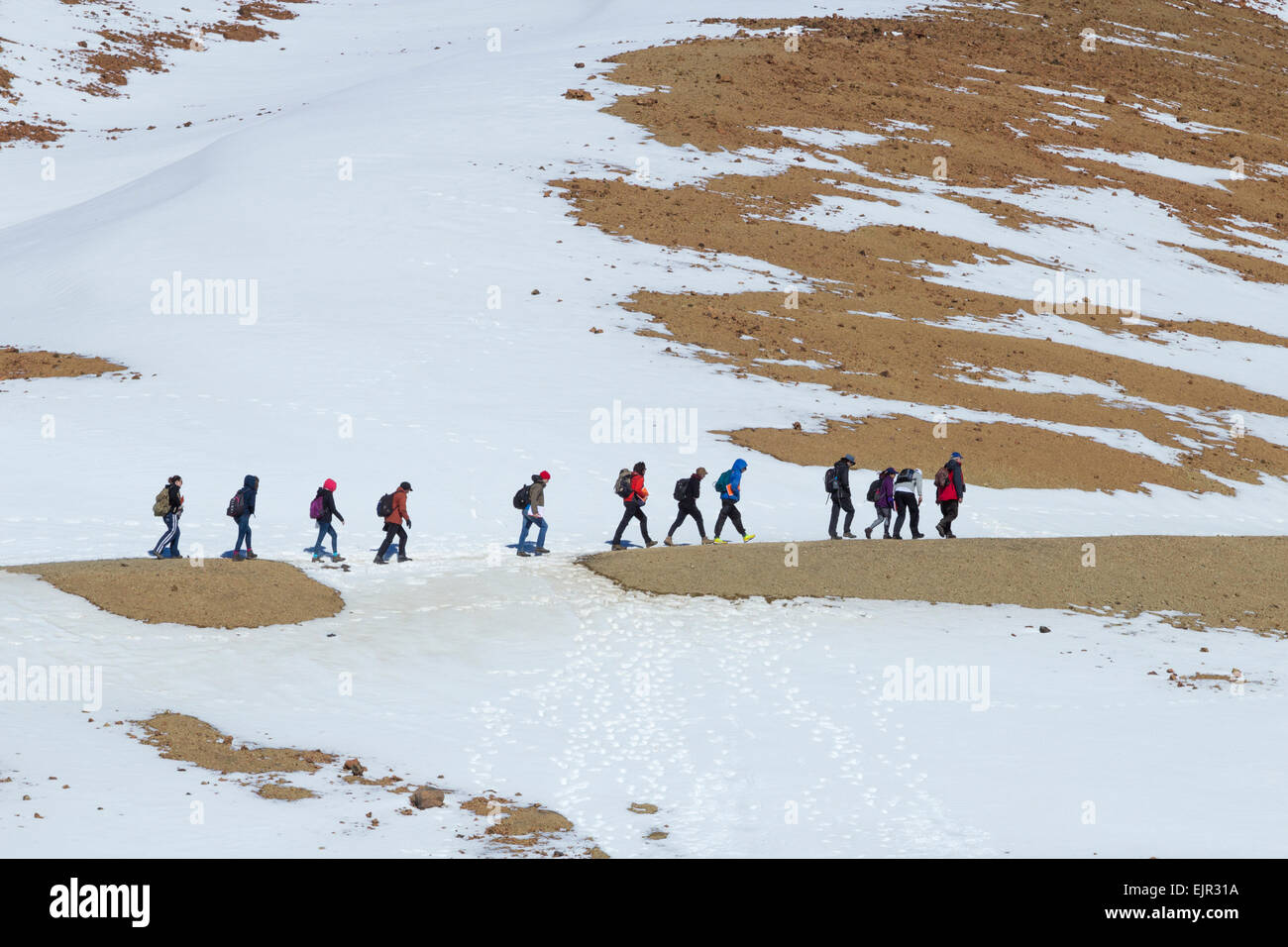 Studenten aus dem Vereinigten Königreich auf Exkursion im Schnee bedeckt Nationalpark Teide auf Teneriffa, Kanarische Inseln, Spanien Stockfoto