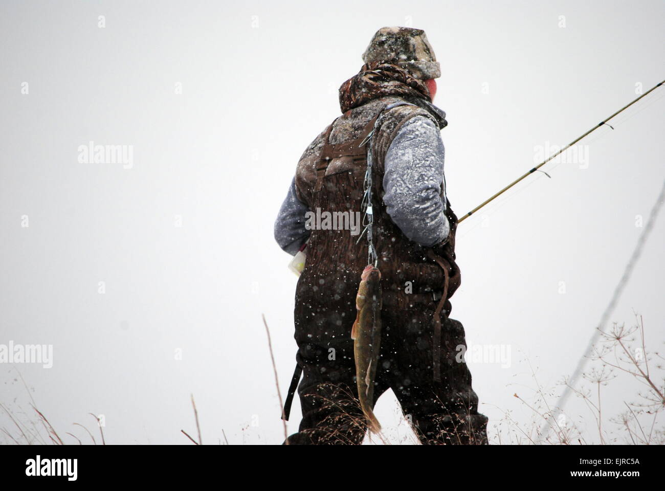 Walleyes gefangen im zeitigen Frühjahr, Kälte, Ohio, U.S.A. Stockfoto