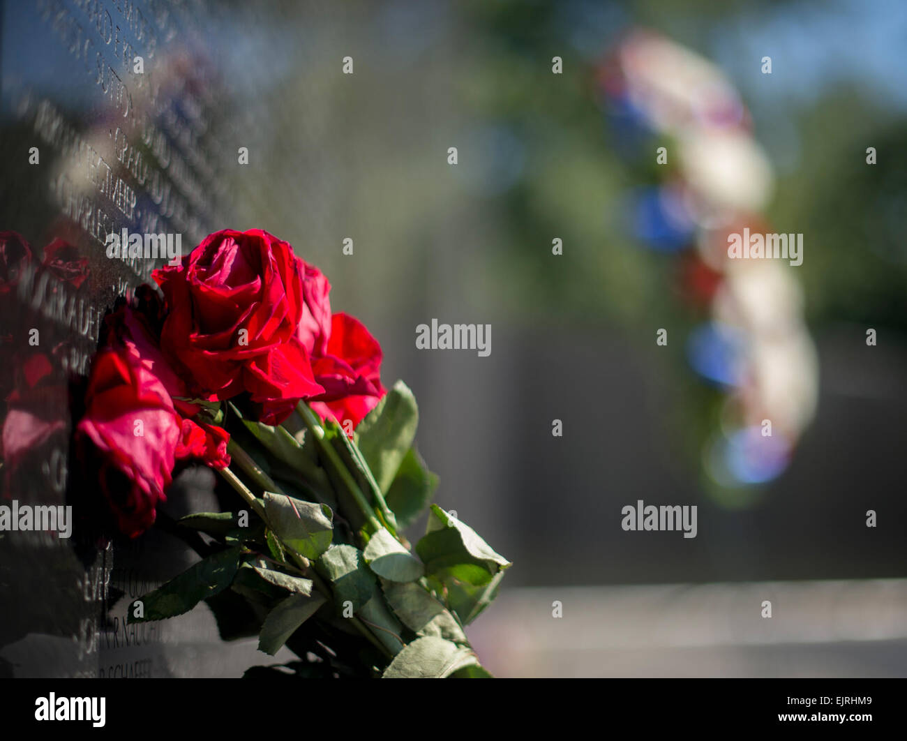 Ein Strauß Rosen, links um den Toten zu gedenken schmückt das Vietnam Veterans Memorial in Washington, D.C., 17. September 2014.  Im Hintergrund ist der Kranz zu Ehren Spc. 4 Donald P. Sloat, die posthum wurde Anfang dieser Woche die Medal Of Honor ausgezeichnet.  Sloat zeichnete sich während seiner Zeit als ein MG-Schütze mit der 1. Infanterie-Regiment, 196. Light Infantry Brigade, Filmschaffender Division, während der Kampfhandlungen gegen einen bewaffneten Feind in der Republik von Vietnam. Am Morgen des 17. Januar 1970 zog Sloat Kader auf einem Hügel in der Datei Anordnung, wenn die Führung Soldat einen Draht befestigt ausgelöst Stockfoto