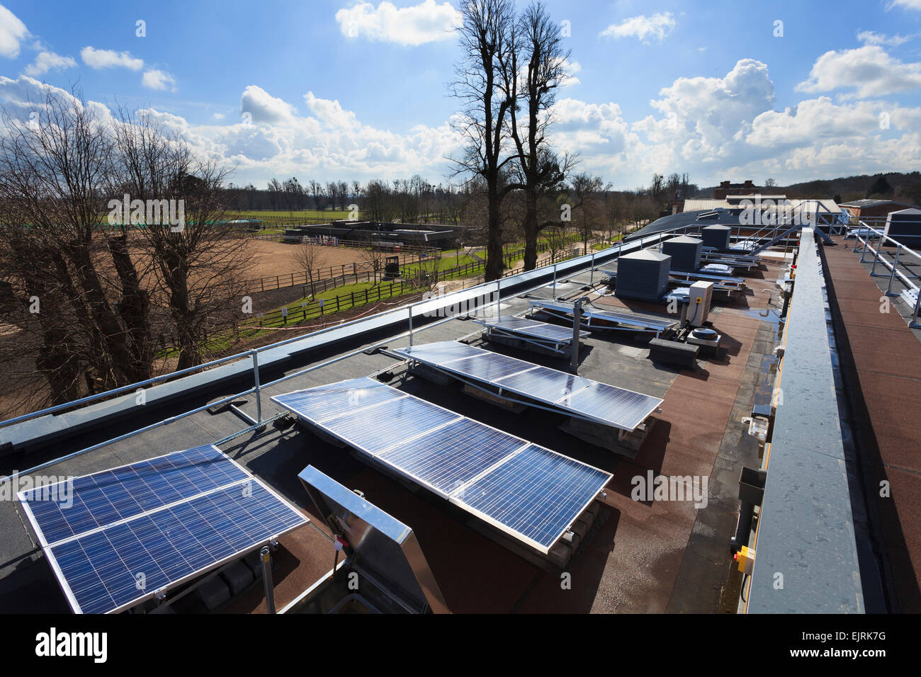 Reihe von Solarzellen am Dach des modernen Gebäude Stockfoto