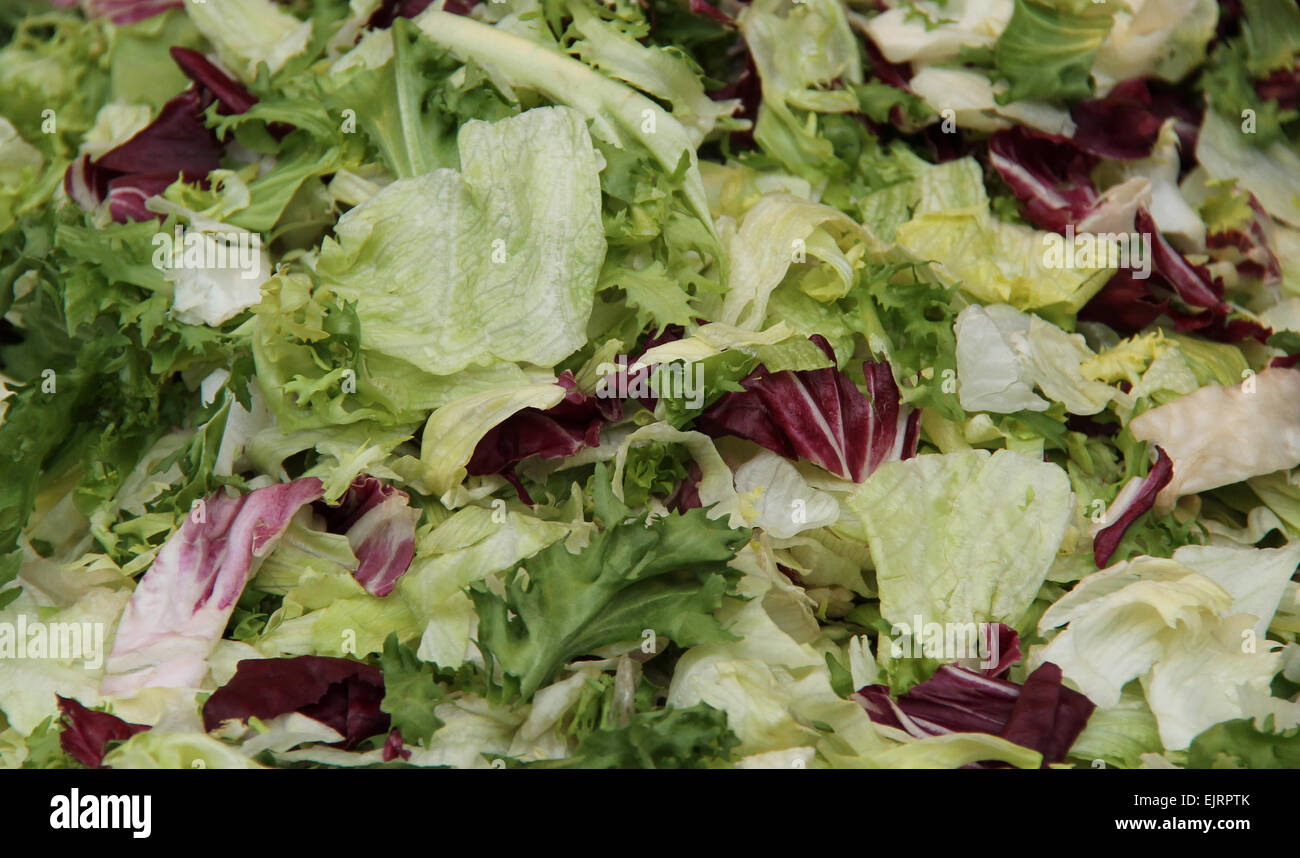 Die vorbereiteten Blätter von einem frischen grünen Salat. Stockfoto