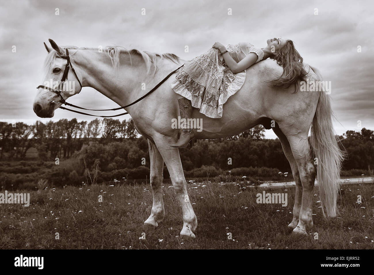 Frau Reiter, Pferd, Tier, Natur, Luft, Gesundheit, Trense, Reiten, Fahrt, Liebe, zusammen, verstehen, Stockfoto