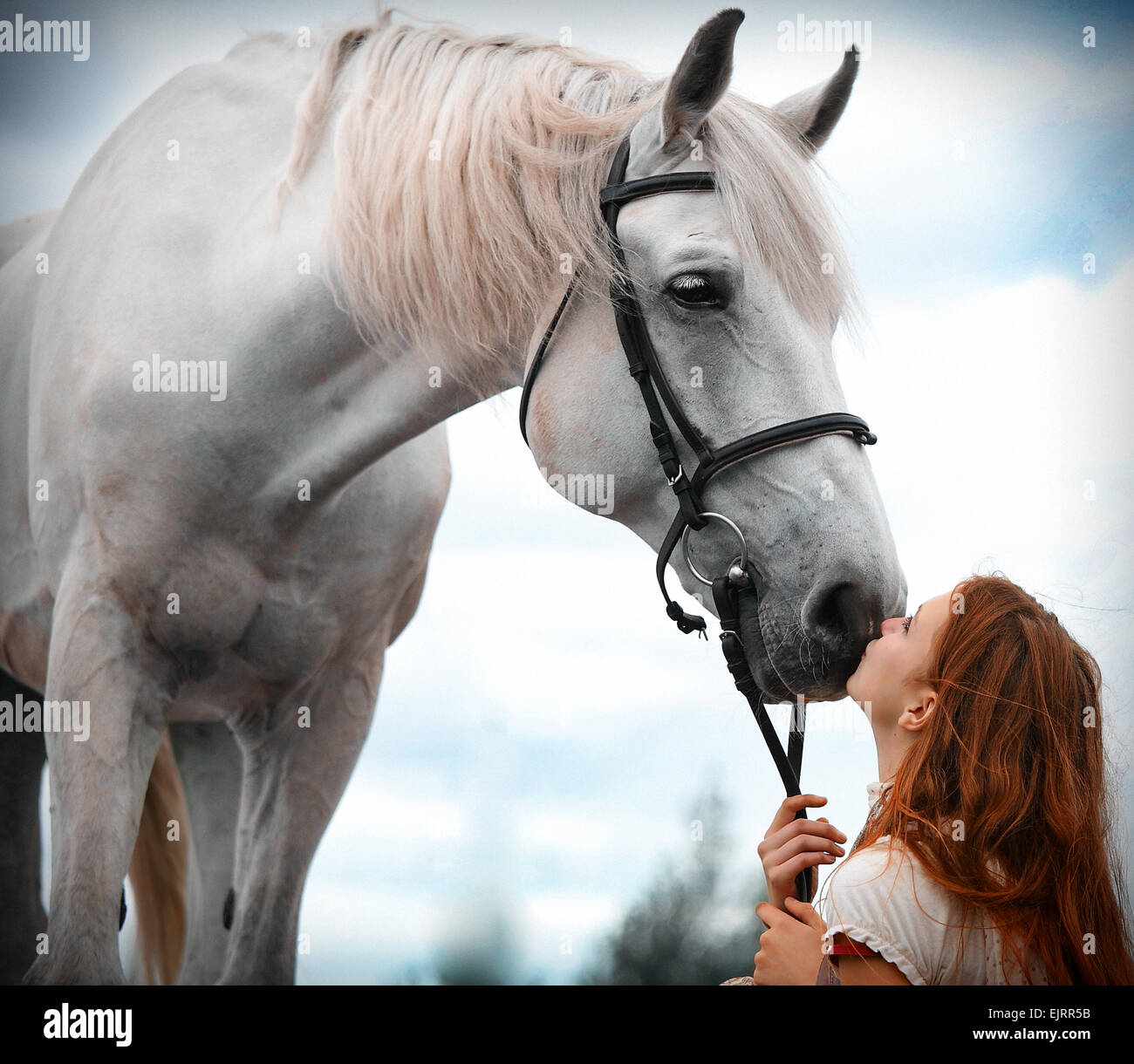 Frau Reiter, Pferd, Tier, Natur, Luft, Gesundheit, Trense, Reiten, Fahrt, Liebe, zusammen, verstehen, Stockfoto