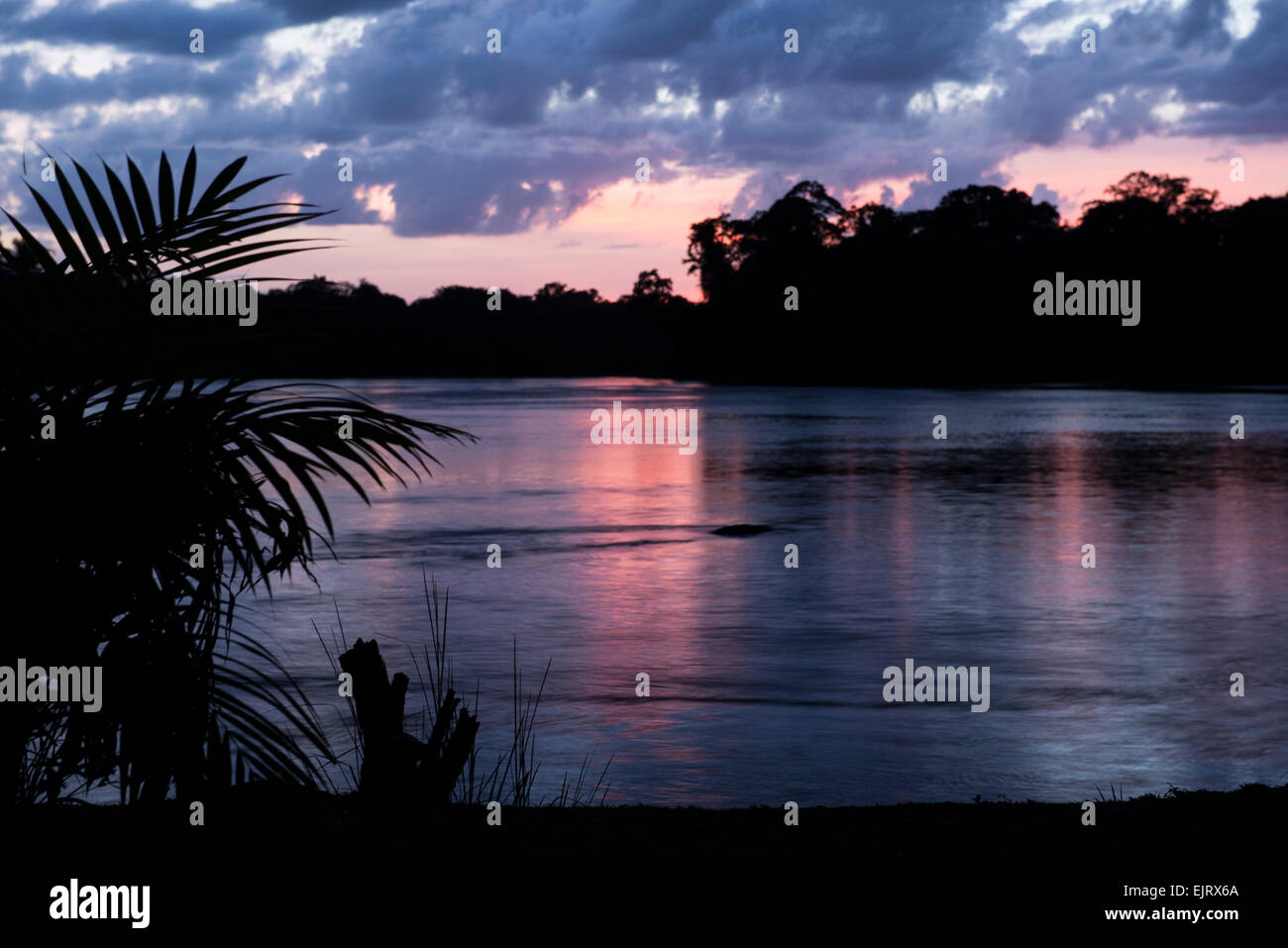 Die oberen Suriname River bei Sonnenuntergang, Suriname Stockfoto