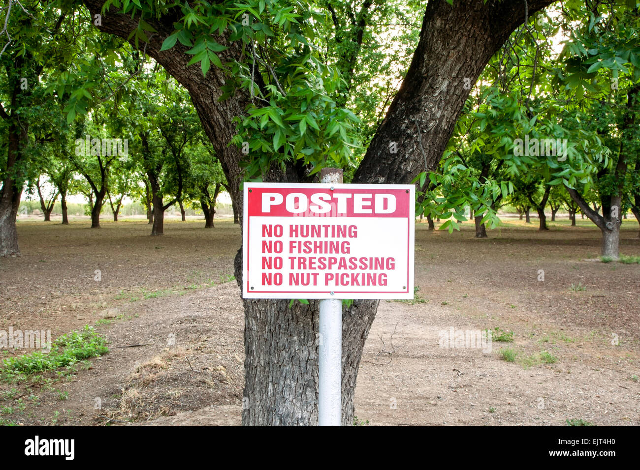 "Gebucht" unterzeichnen, Pecan Obstgärten in der Nähe von Las Cruces, New Mexico, Vereinigte Staaten Stockfoto