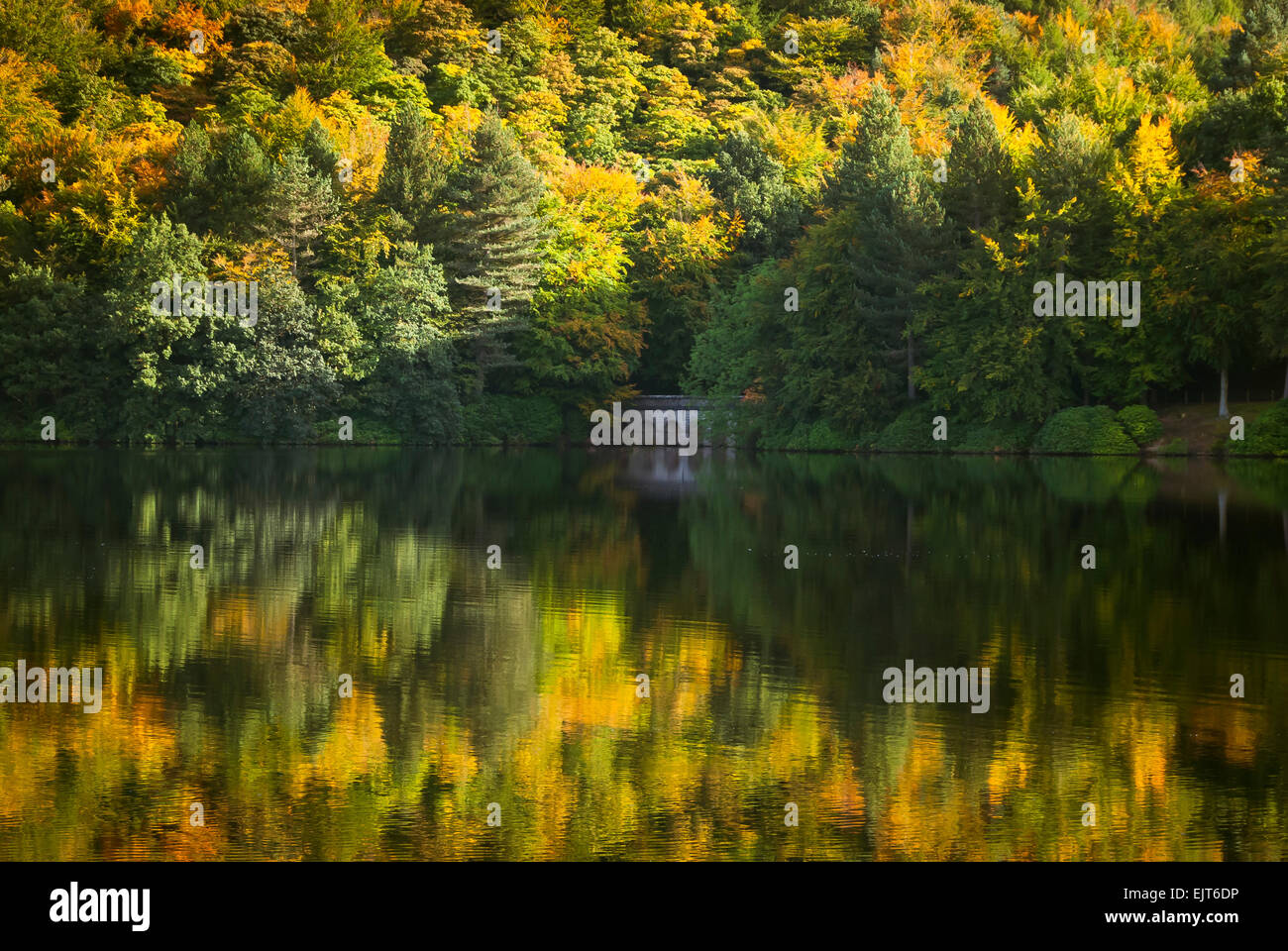 Herbst Reflexionen über Ladybower Vorratsbehälter, Peak District Nation Park, Derbyshire Stockfoto