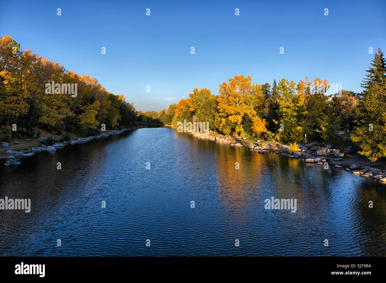 An einem sonnigen, Herbst Morgen, eine ruhige Bow River in Calgary, Prince es Island Park Stockfoto