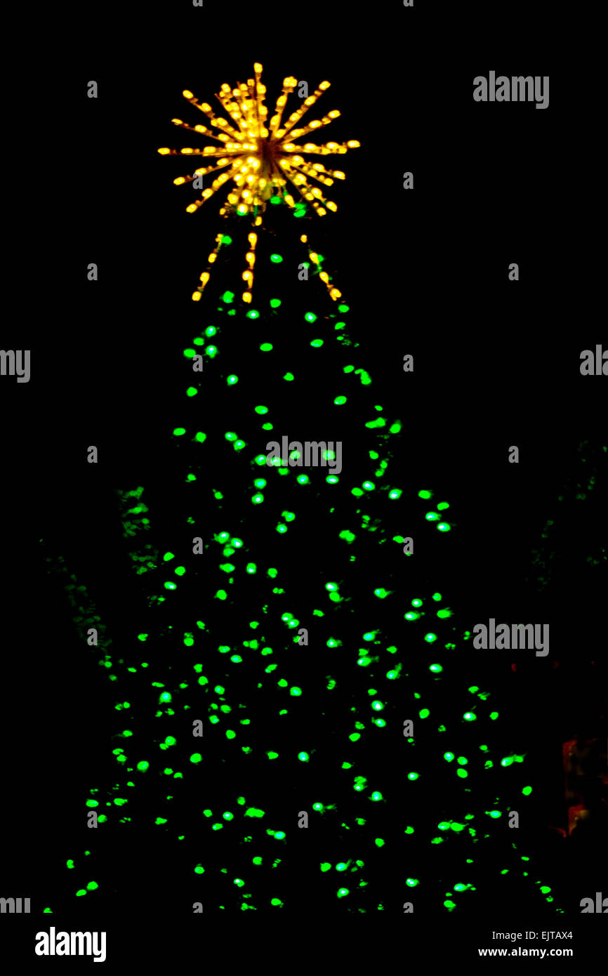 Weihnachtsbaum am Meadowlark die Winterwanderung der Lichter. Stockfoto