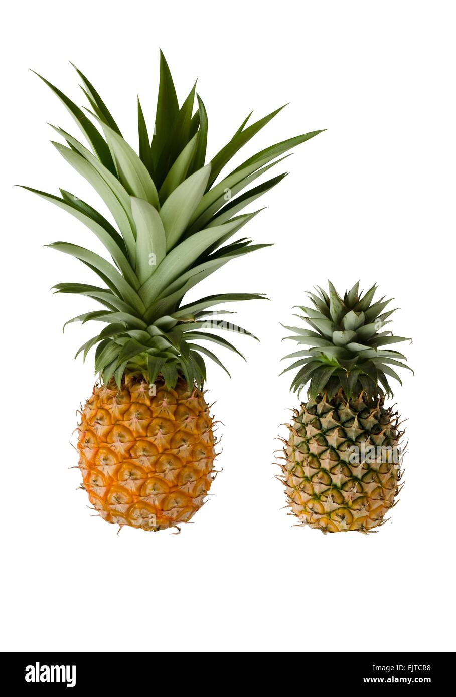 Reife Ananas isoliert auf weißem Hintergrund. Stockfoto
