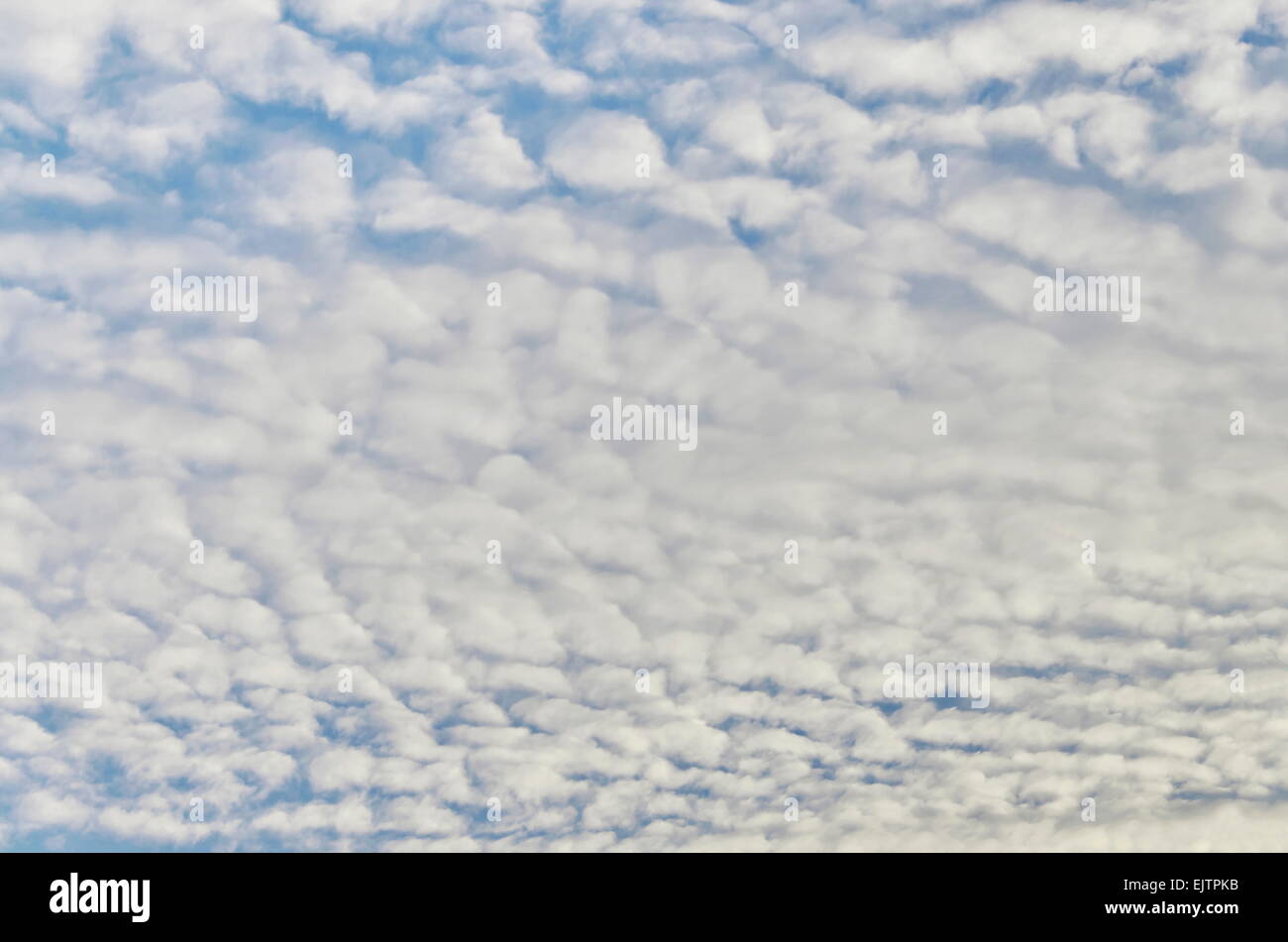 Blauer Himmel mit einigen weißen geschwollenen Wolken Stockfoto