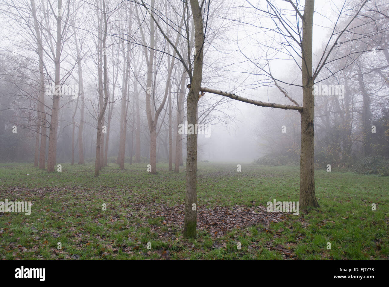Improvisierte Torpfosten im park Stockfoto