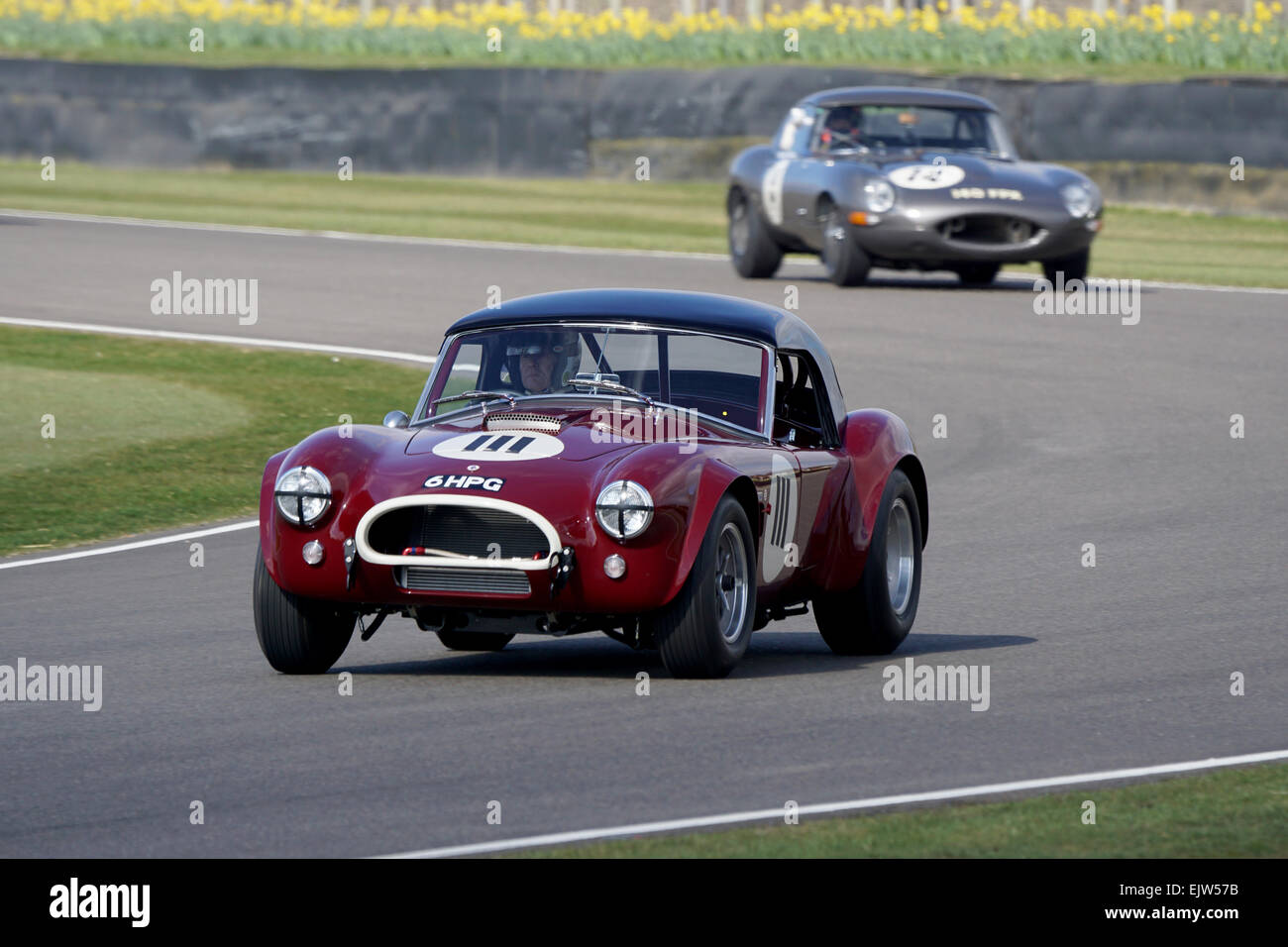 Ac cobra Stockfoto