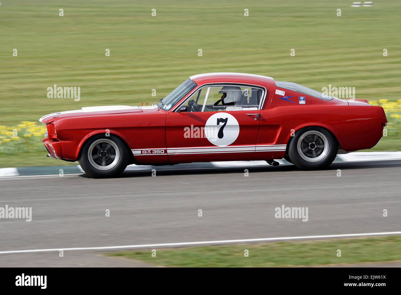 Die roten Ford Shelby Mustang GT350 der Stockente und Winchester Kurven hart an der Goodwood Mitglieder 2015 Stockfoto