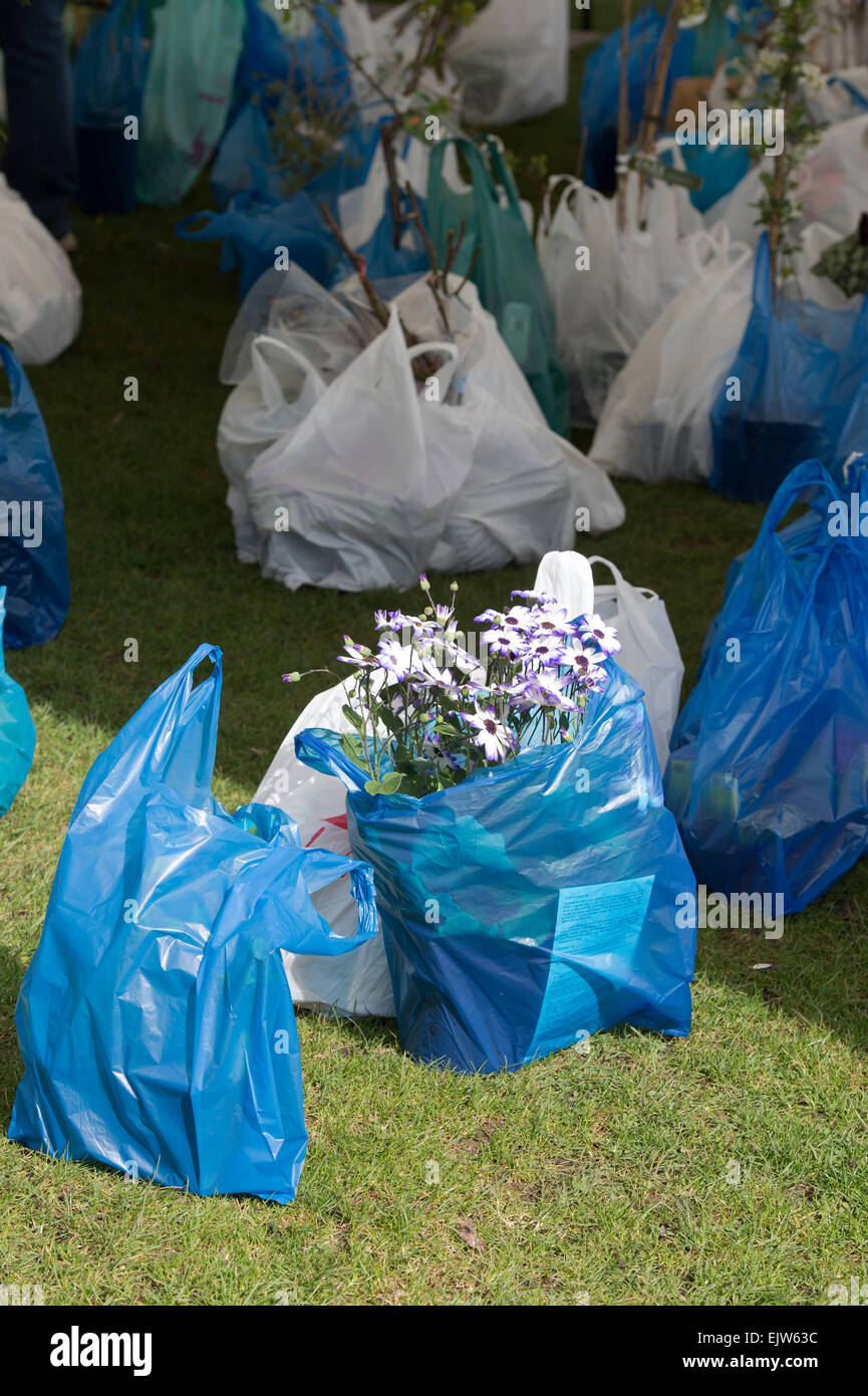 Blumen in Plastiktüten in einem Werk. Großbritannien Stockfoto