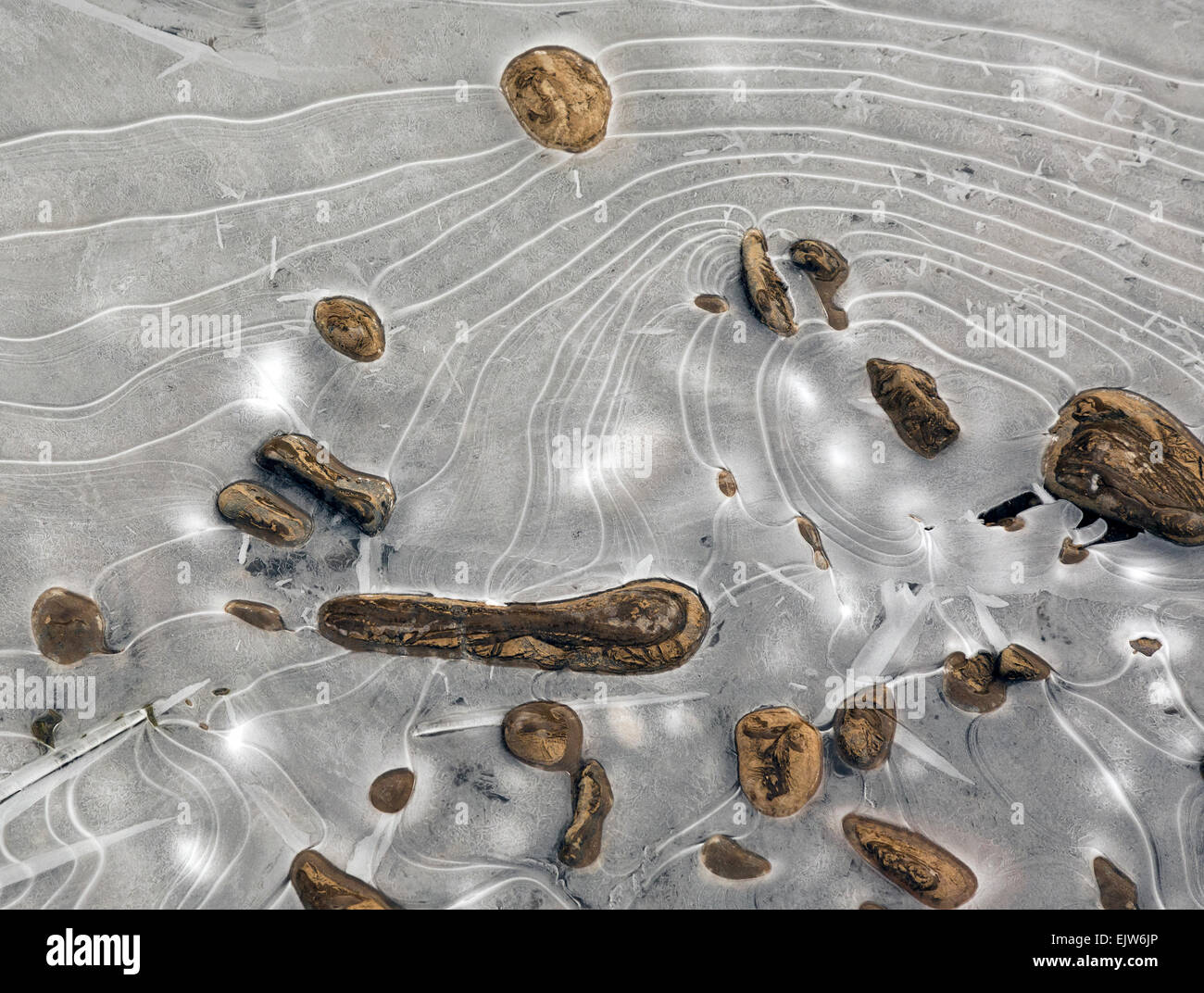 OREGON - eine gefrorene Pfütze am Ufer des North Fork Umpqua River. Stockfoto