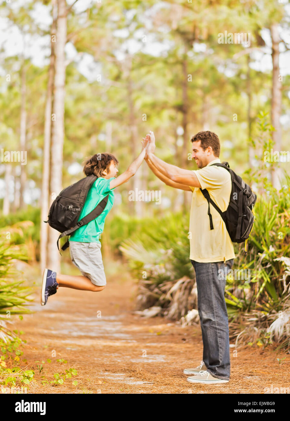 USA, Florida, Jupiter, Vater und Sohn (12-13) hohe fünf im Wald zu tun Stockfoto
