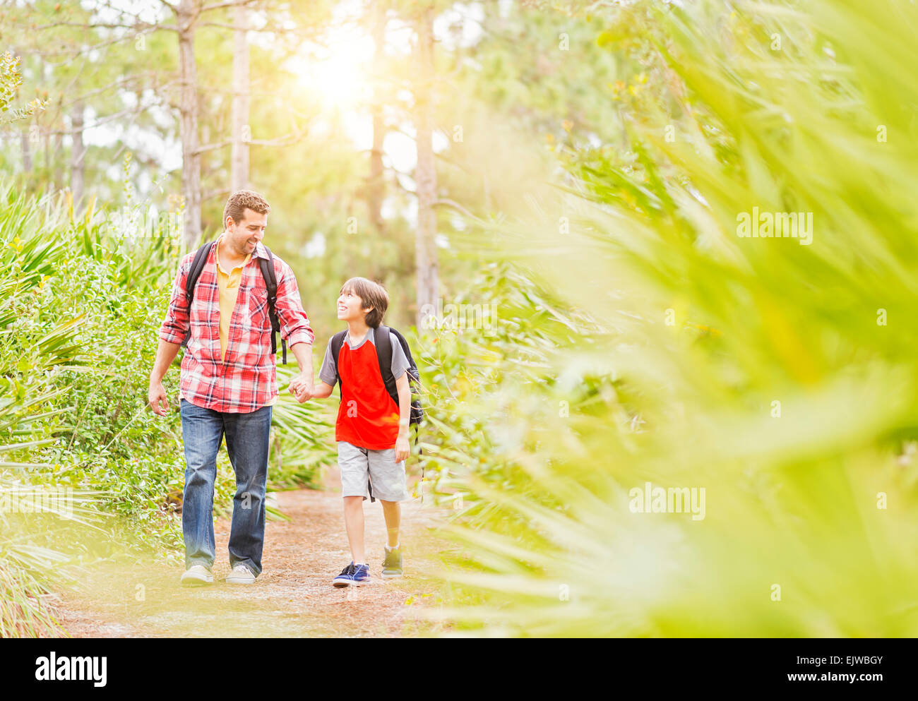 USA, Florida, Jupiter, Vater und Sohn (12-13) zu Fuß in Wald Stockfoto