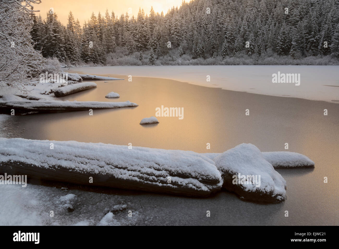 USA, Oregon, Mirror Lake, malerischen Blick auf See und Wald im winter Stockfoto