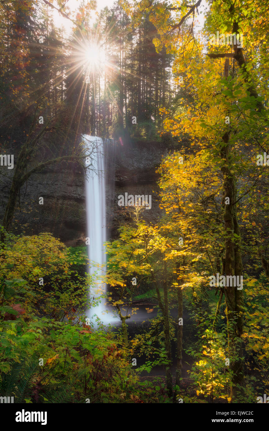 USA, Oregon, Silver Falls, malerischen Blick auf den Wasserfall im herbstlichen Wald Stockfoto