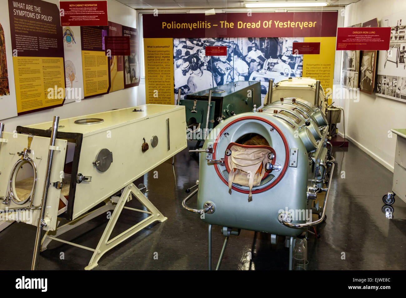 Johannesburg Südafrika, Parktown, Wits University, University of the Witwatersrand, Hochschulbildung, Campus, Adler Museum of Medicine, Ausstellungsausstellung Stockfoto