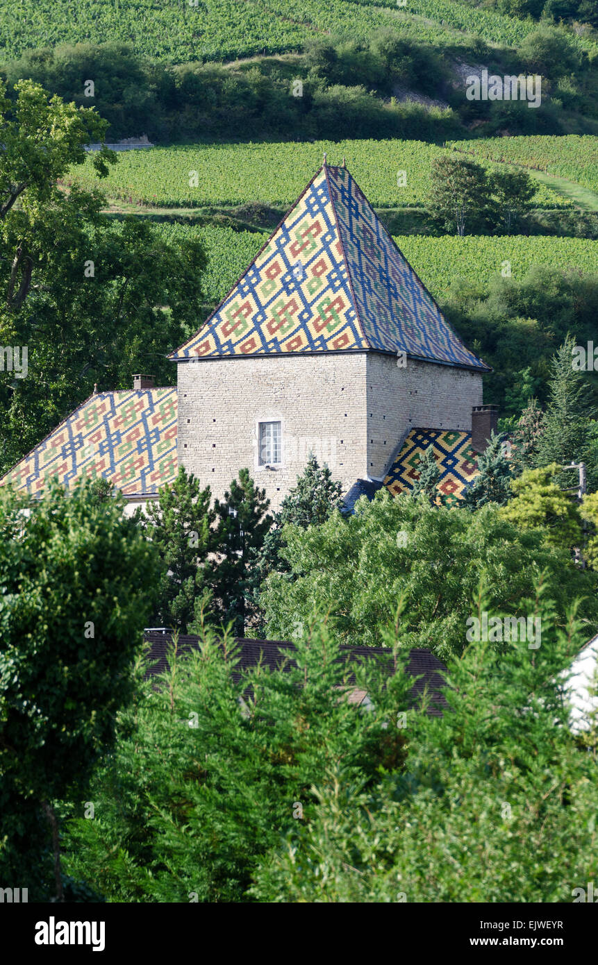 Das berühmte glasierte Ziegeldach des Château de Santenay, Santenay, Côte d ' dOr, Frankreich Stockfoto