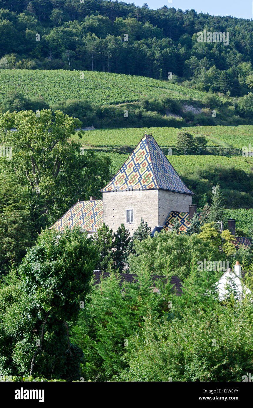 Polychrom glasierte Ziegeldach des Château de Santenay, Santenay, Côte d ' dOr, Frankreich Stockfoto