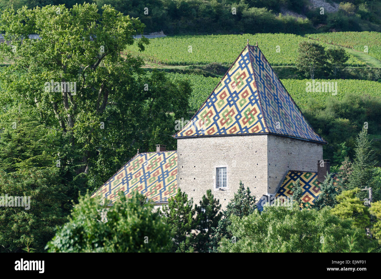 Glasierte Ziegeldach des Château de Santenay, Santenay, Côte d ' dOr, Frankreich Stockfoto