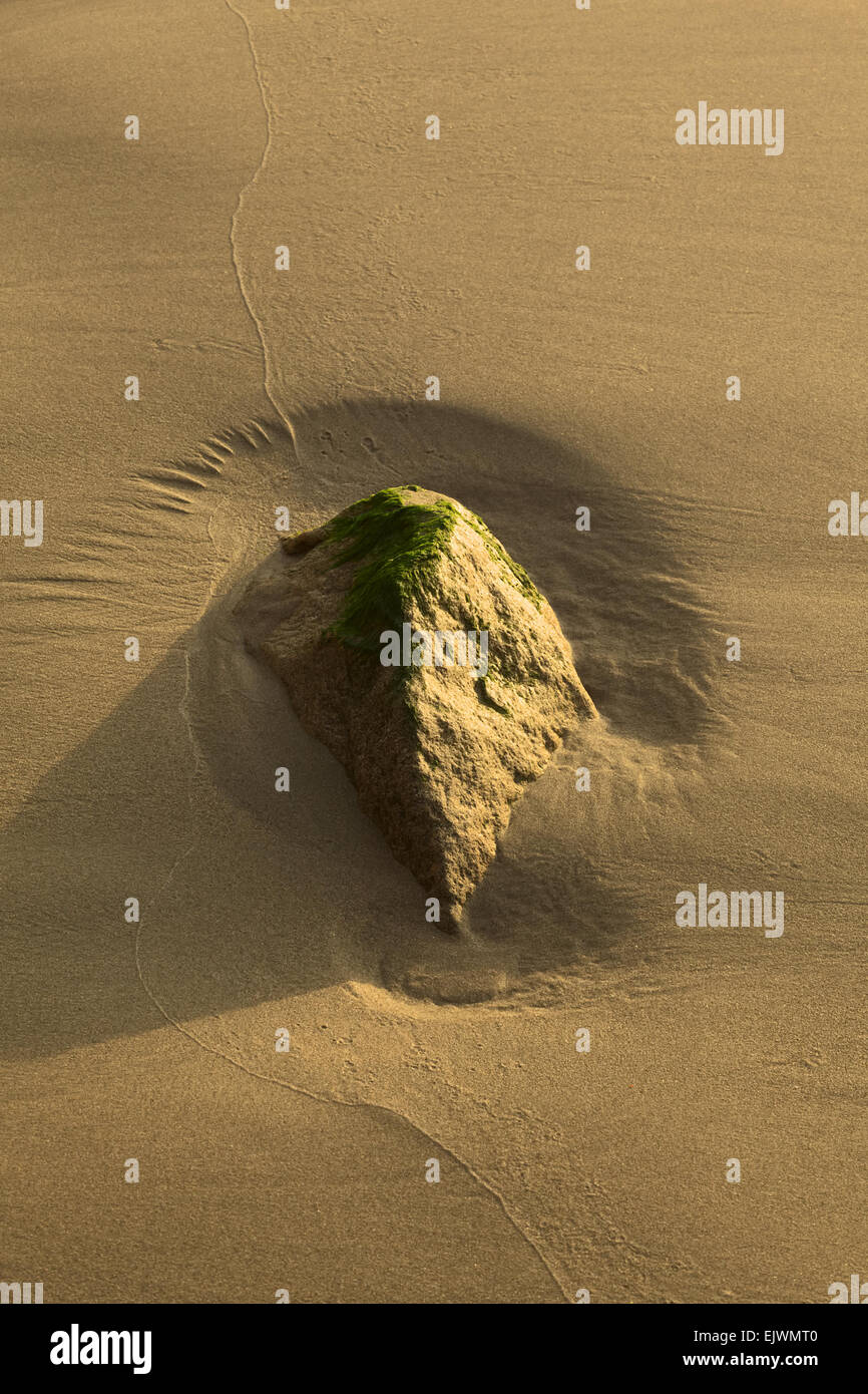 Kleiner Felsen bedeckt durch einige grüne Algen am Sandstrand von der
