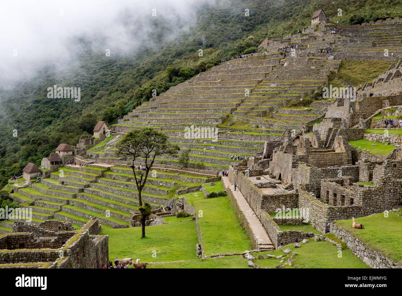 Peru, Machu Picchu.  Landwirtschaftlichen Terrassen unterhalb der Hauptwache (oben rechts); Königliche Residenz, unten rechts. Stockfoto